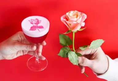 At-Home Mixologists Cocktails