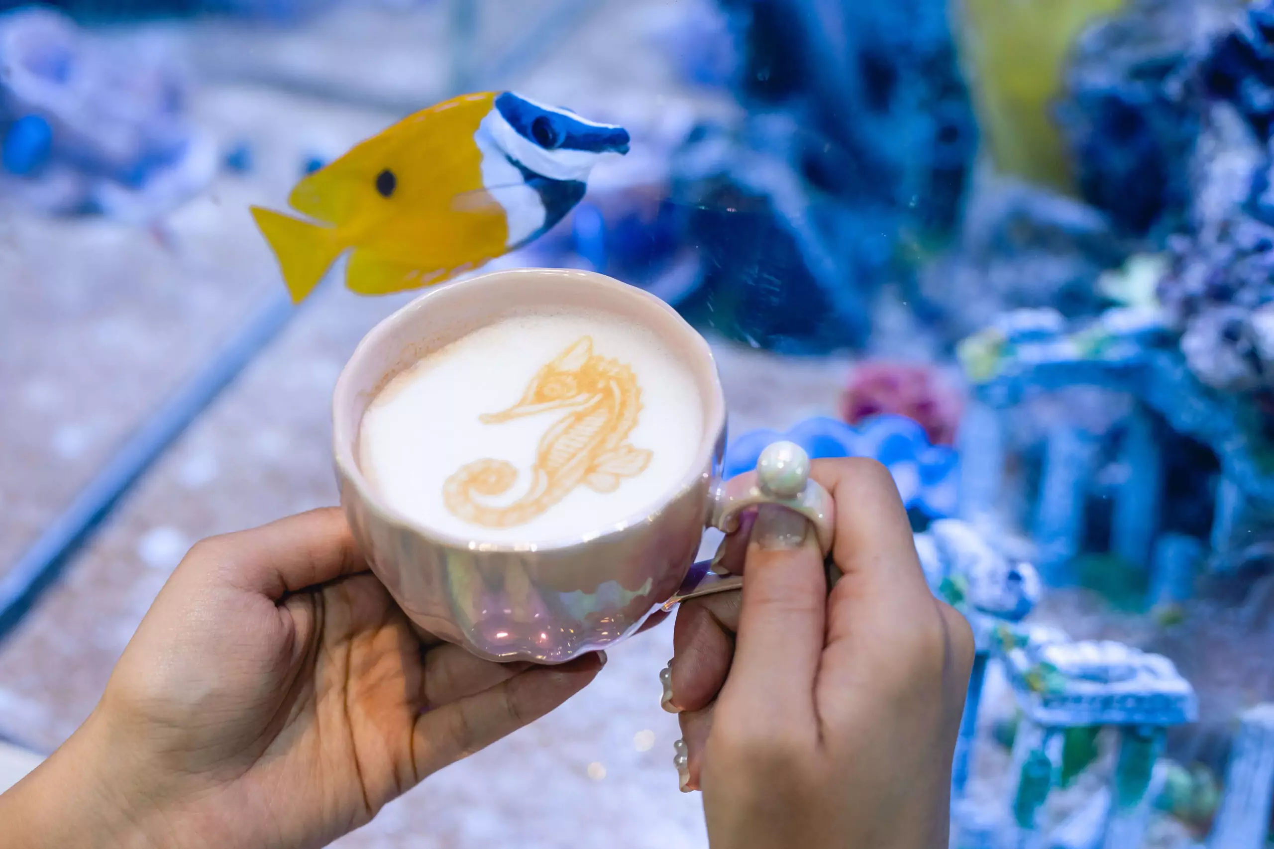 Seahorse latte in shell cup at aquarium