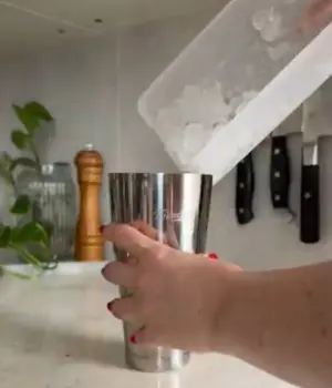add ice to shaker